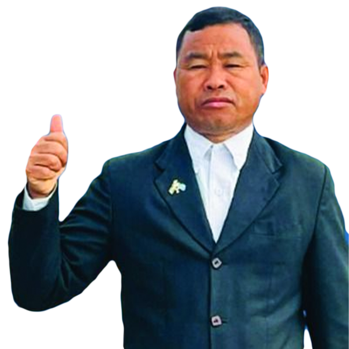 मिन बहादुर ठेडी मगर