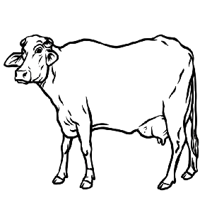 जनता लोकतान्त्रिक पार्टी, नेपाल