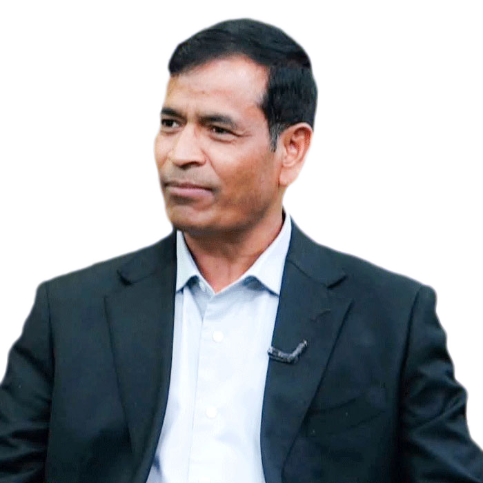 महेन्द्र बहादुर शाही